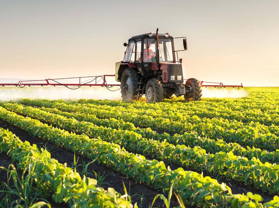 Harvest Image