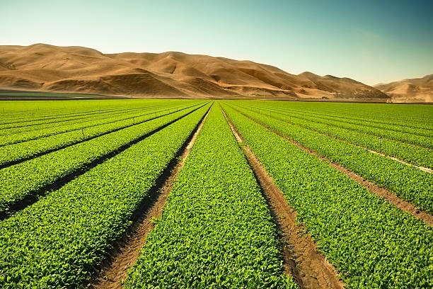 Farm Image